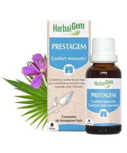 Prestagem - Confort Masculin